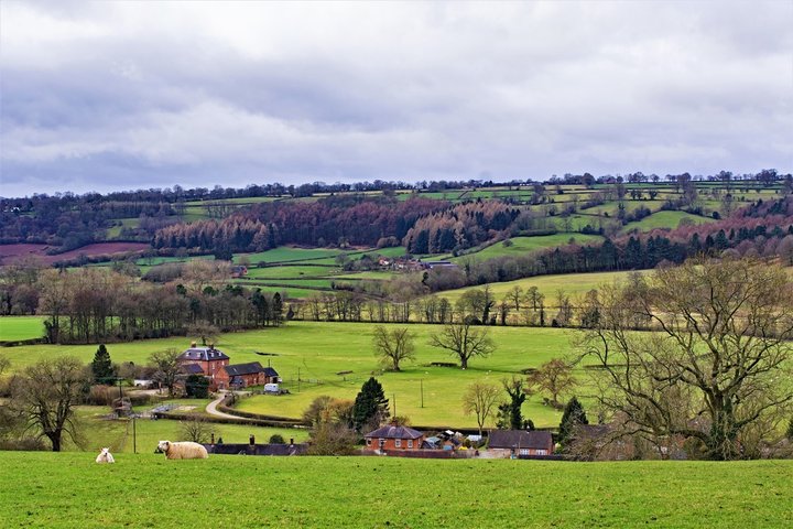derby