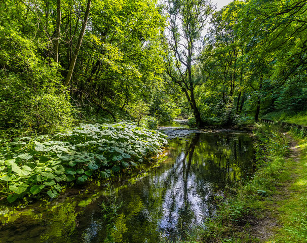 A view down the River Wye at the start of the Monsal Trail in Derbyshire,